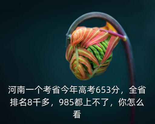 河南一個考省今年高考653分，全省排名8千多，985都上不了，你怎么看