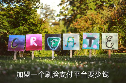 安陽哪里有刷臉支付加盟電話,加盟一個刷臉支付平臺要少錢