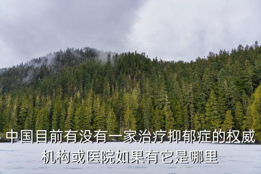 中國目前有沒有一家治療抑郁癥的權威機構或醫院如果有它是哪里