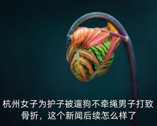 杭州女子為護(hù)子被遛狗不牽繩男子打致骨折，這個新聞后續(xù)怎么樣了