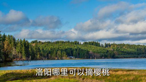 洛陽(yáng)哪里可以摘櫻桃