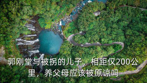 拐賣郭剛堂兒子是河南哪里的,郭剛堂與被拐的兒子