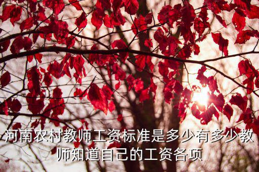 河南農村教師工資標準是多少有多少教師知道自己的工資各項