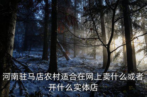 河南駐馬店農村適合在網上賣什么或者開什么實體店