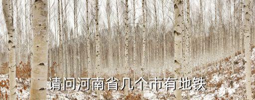 河南有多少個地鐵,河南還有哪座城市有地鐵