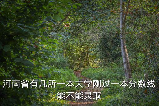 河南省考上一本的學(xué)生有多少,河南省有幾所一本大學(xué)