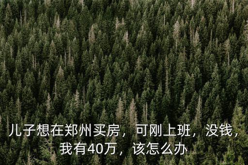 兒子想在鄭州買房，可剛上班，沒錢，我有40萬，該怎么辦