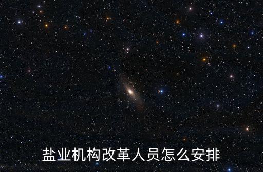 河南鹽改后鹽業(yè)公司怎么改革,鹽業(yè)公司如何改革