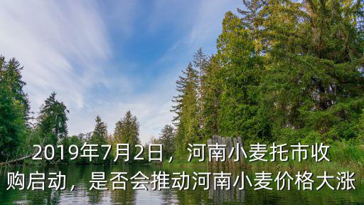 2019年7月2日，河南小麥托市收購啟動，是否會推動河南小麥價格大漲