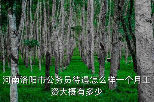 洛陽(yáng)市公務(wù)員副科級(jí)工資是多少,副科級(jí)公務(wù)員基本工資多少