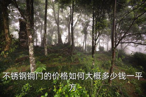 河南不銹鋼銅門大概多少錢,大概多少錢一平方
