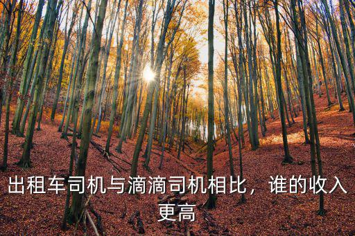 安陽出租車司機的工資多少,出租車司機的收入如何