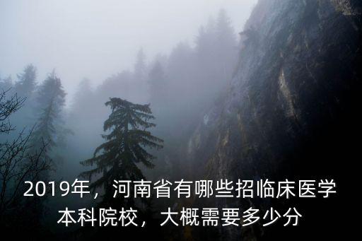 2019年，河南省有哪些招臨床醫(yī)學本科院校，大概需要多少分
