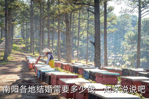南陽(yáng)各地結(jié)婚需要多少錢一起來(lái)說(shuō)說(shuō)吧