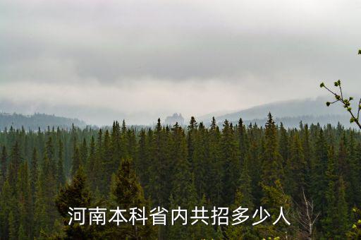 河南本科省內共招多少人