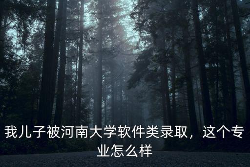 我兒子被河南大學軟件類錄取，這個專業怎么樣