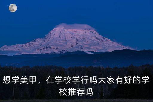 想學美甲，在學校學行嗎大家有好的學校推薦嗎
