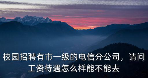 校園招聘有市一級(jí)的電信分公司，請(qǐng)問工資待遇怎么樣能不能去