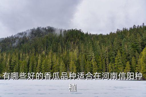 信陽毛尖適合哪里種植,哪里產的毛尖最好喝