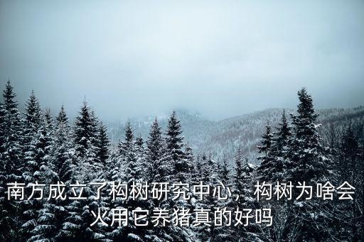 南方成立了構樹研究中心，構樹為啥會火用它養豬真的好嗎