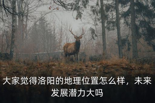 大家覺得洛陽的地理位置怎么樣，未來發(fā)展?jié)摿Υ髥? class=