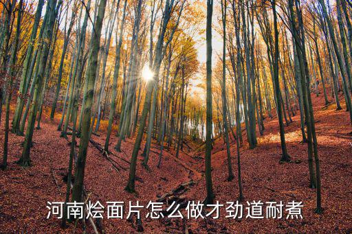 河南燴面片怎么做才勁道耐煮