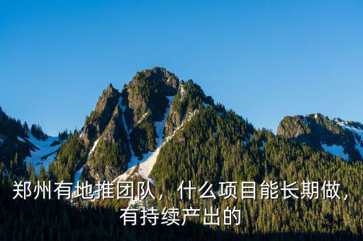 鄭州有地推團(tuán)隊，什么項目能長期做，有持續(xù)產(chǎn)出的