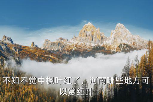 不知不覺中楓葉紅了，河南哪些地方可以賞紅葉