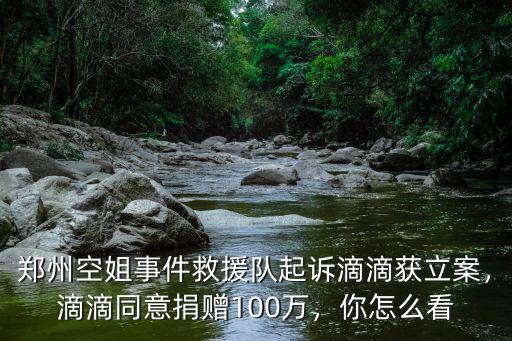 鄭州空姐事件救援隊起訴滴滴獲立案，滴滴同意捐贈100萬，你怎么看