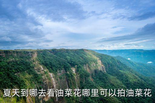 夏天到哪去看油菜花哪里可以拍油菜花