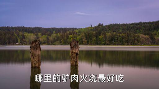 哪里的驢肉火燒最好吃