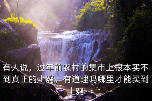 有人說，過年前農村的集市上根本買不到真正的土雞，有道理嗎哪里才能買到土雞