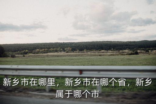 新鄉市的南二環在哪里,新鄉市在哪里