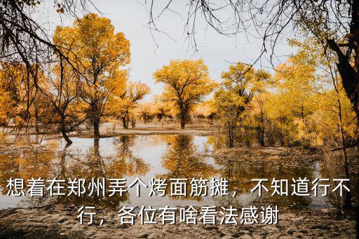 想著在鄭州弄個烤面筋攤，不知道行不行，各位有啥看法感謝