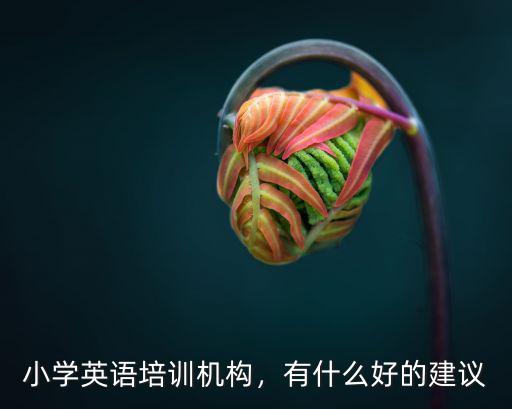 小學英語培訓機構，有什么好的建議
