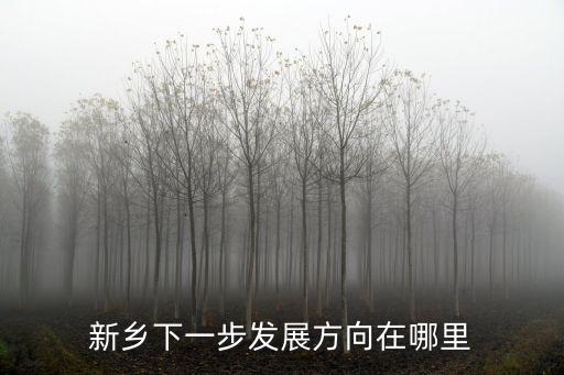 新鄉下一步發展方向在哪里