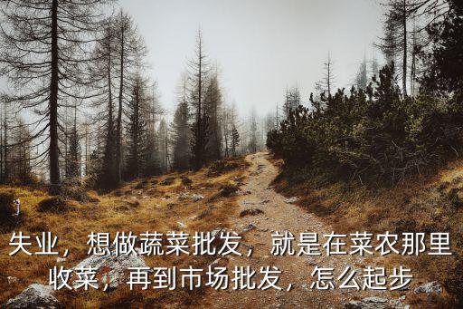 失業，想做蔬菜批發，就是在菜農那里收菜，再到市場批發，怎么起步