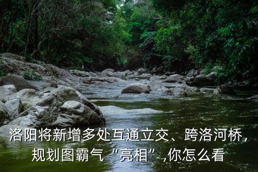 洛陽將新增多處互通立交、跨洛河橋，規劃圖霸氣“亮相”,你怎么看