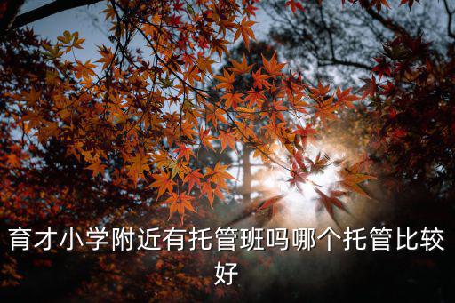 育才小學(xué)附近有托管班嗎哪個(gè)托管比較好