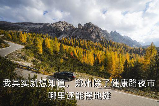 白天哪里擺攤賣花鄭州,請問鄭州都那里可以擺攤