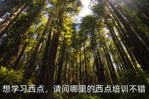 濮陽哪里學西點烘焙,學烘焙去哪里學比較好