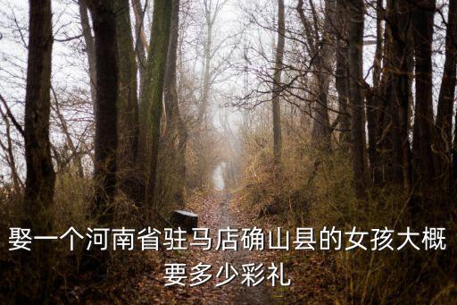 娶一個河南省駐馬店確山縣的女孩大概要多少彩禮