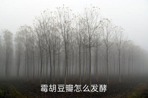 霉胡豆瓣怎么發酵