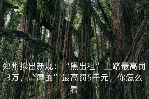 鄭州擬出新規：“黑出租”上路最高罰3萬，“摩的”最高罰5千元，你怎么看