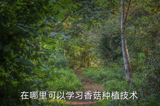 在哪里可以學習香菇種植技術
