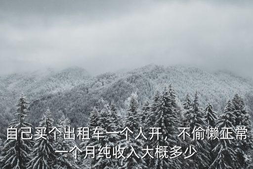 自己買個(gè)出租車一個(gè)人開，不偷懶正常一個(gè)月純收入大概多少