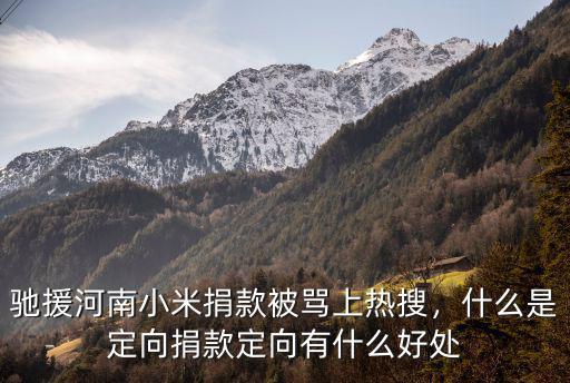 王一博捐款馳援河南多少錢,馳援河南小米捐款被罵上熱搜