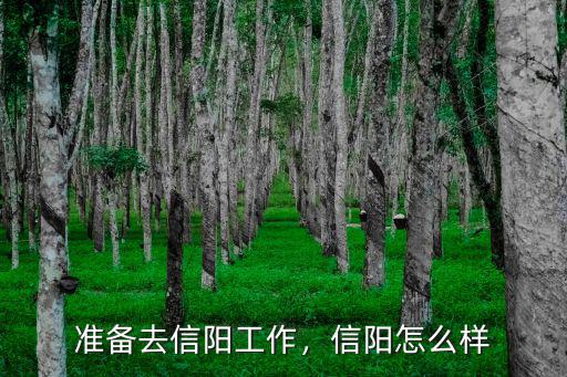 準備去信陽工作，信陽怎么樣