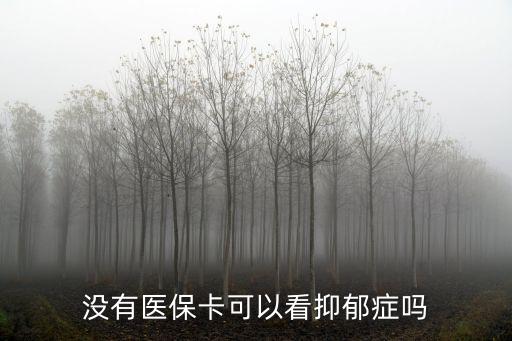 沒有醫?？梢钥匆钟舭Y嗎