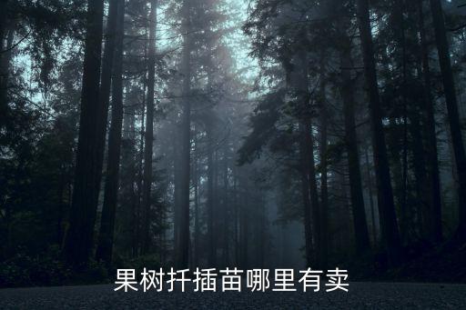 果樹扦插苗哪里有賣